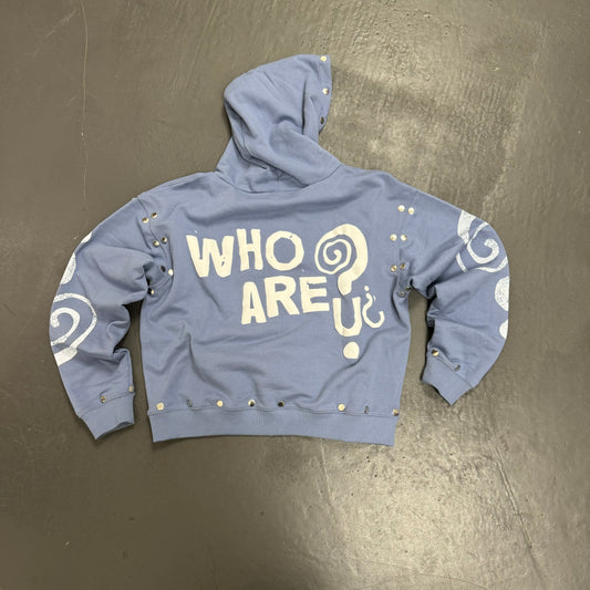 Who Are You¿ Hoodie